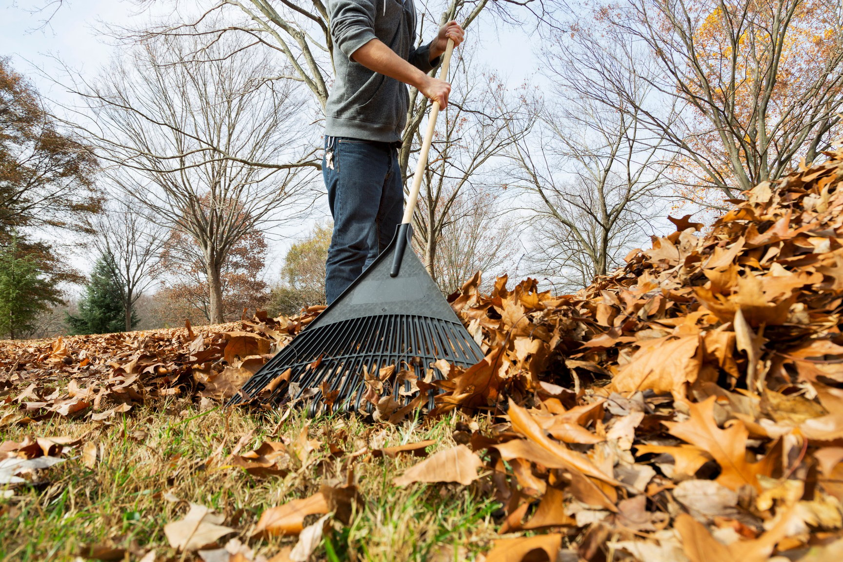 Raking Leaves